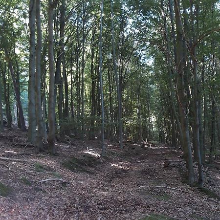 Appartement An Der Bicke Dehringhausen Kültér fotó