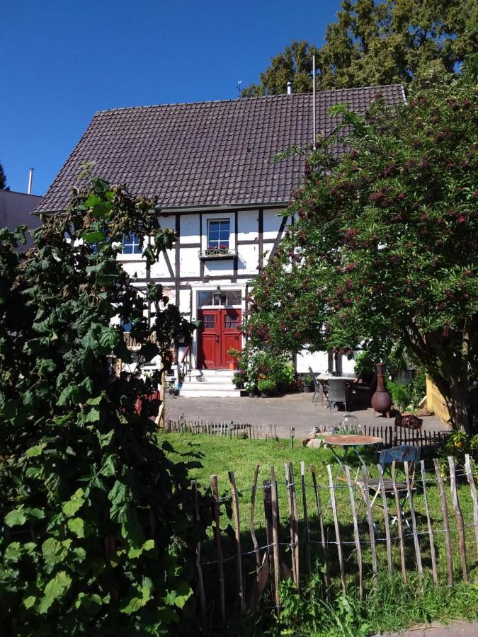 Appartement An Der Bicke Dehringhausen Kültér fotó