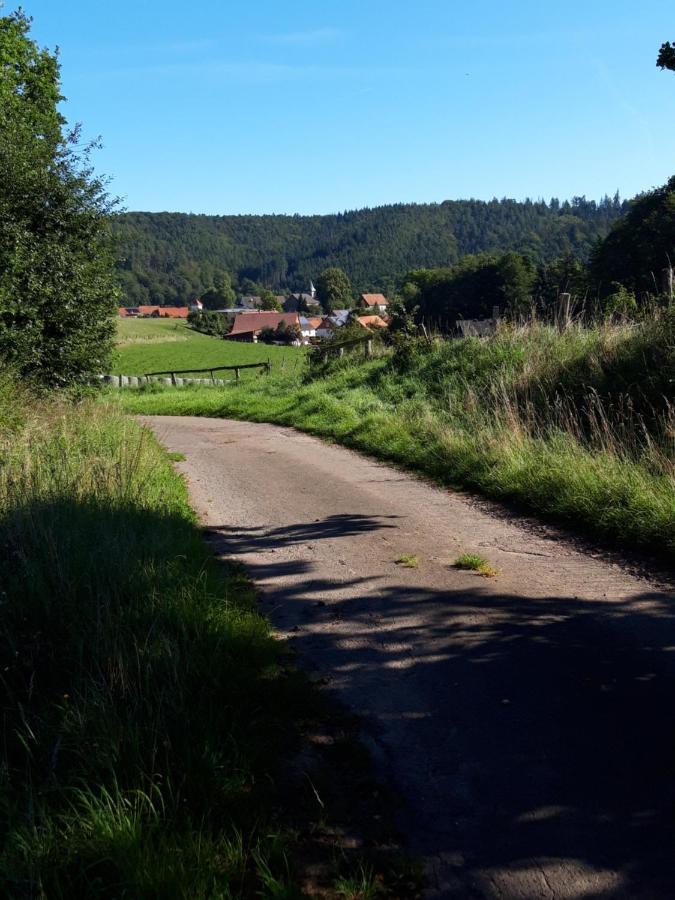 Appartement An Der Bicke Dehringhausen Kültér fotó